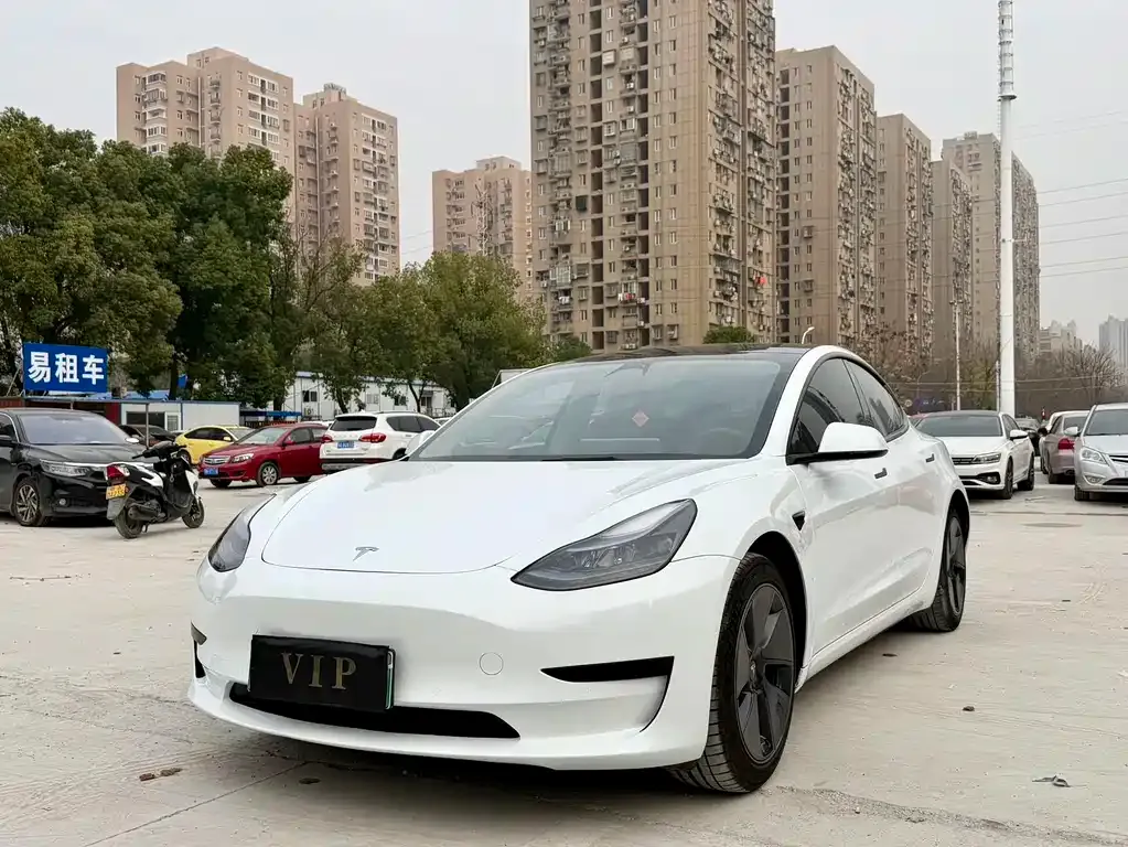 Tesla Model 3 2023 из CN, фото 1