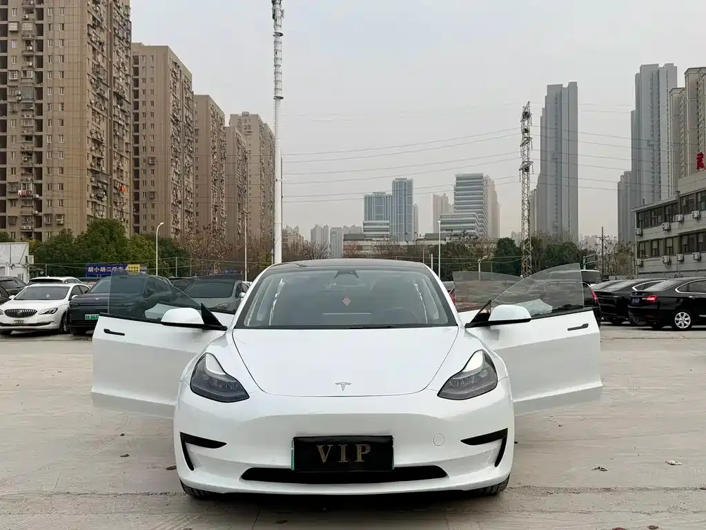 Tesla Model 3 2023 из CN, фото 6