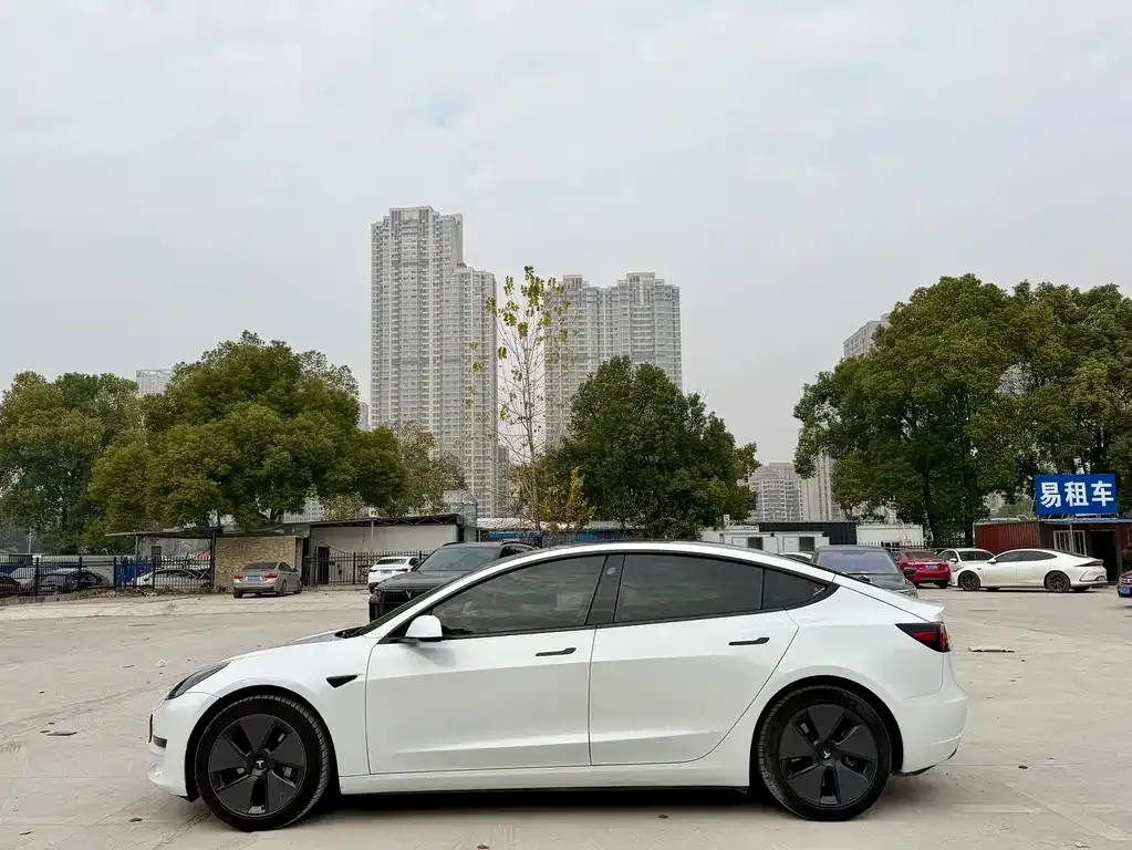 Tesla Model 3 2023 из CN, фото 9
