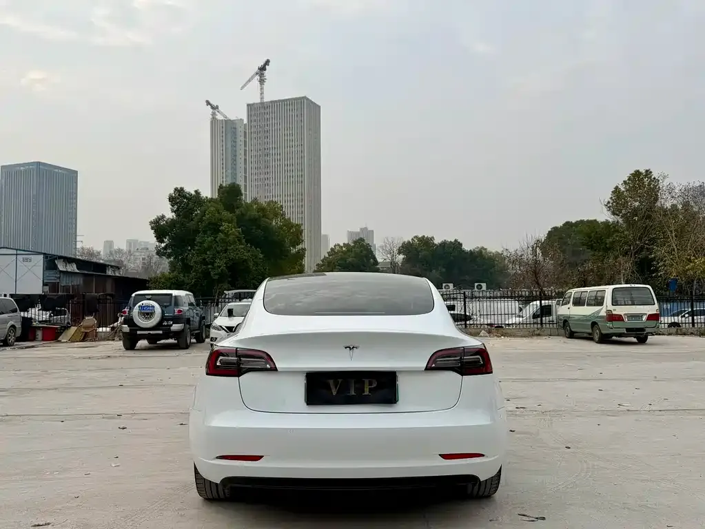 Tesla Model 3 2023 из CN, фото 2