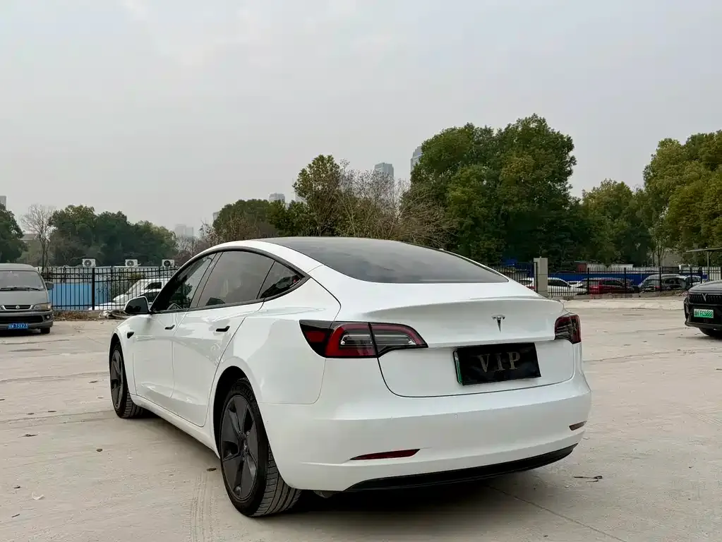 Tesla Model 3 2023 из CN, фото 4
