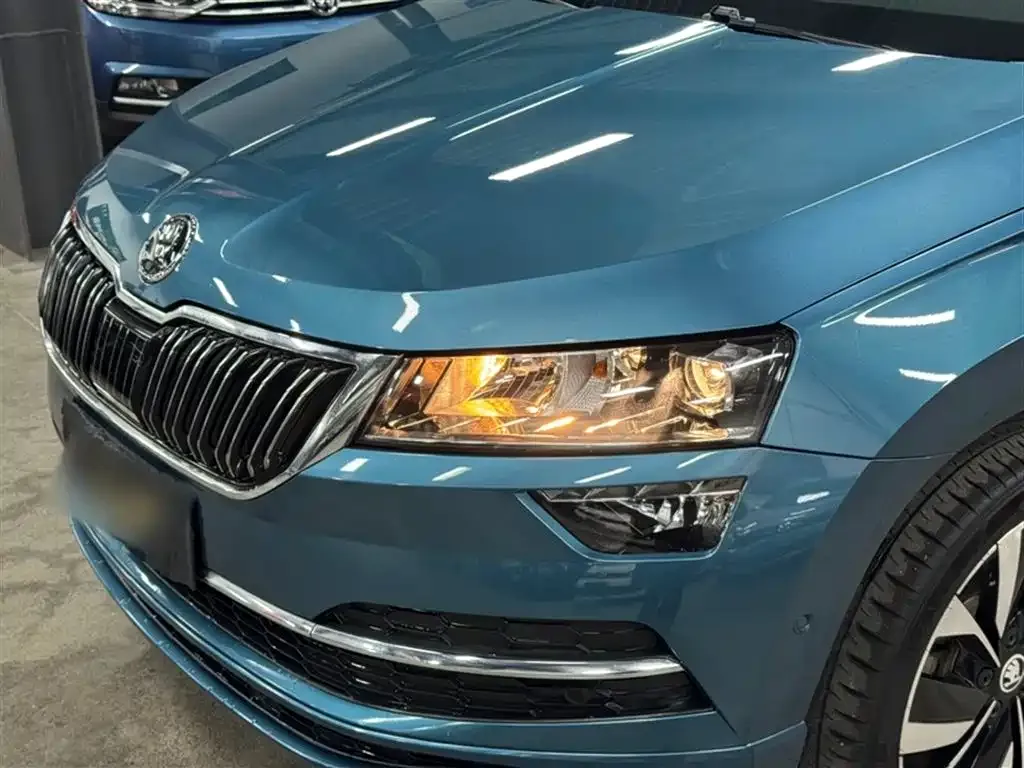Skoda Karoq 2022 из CN, фото 3