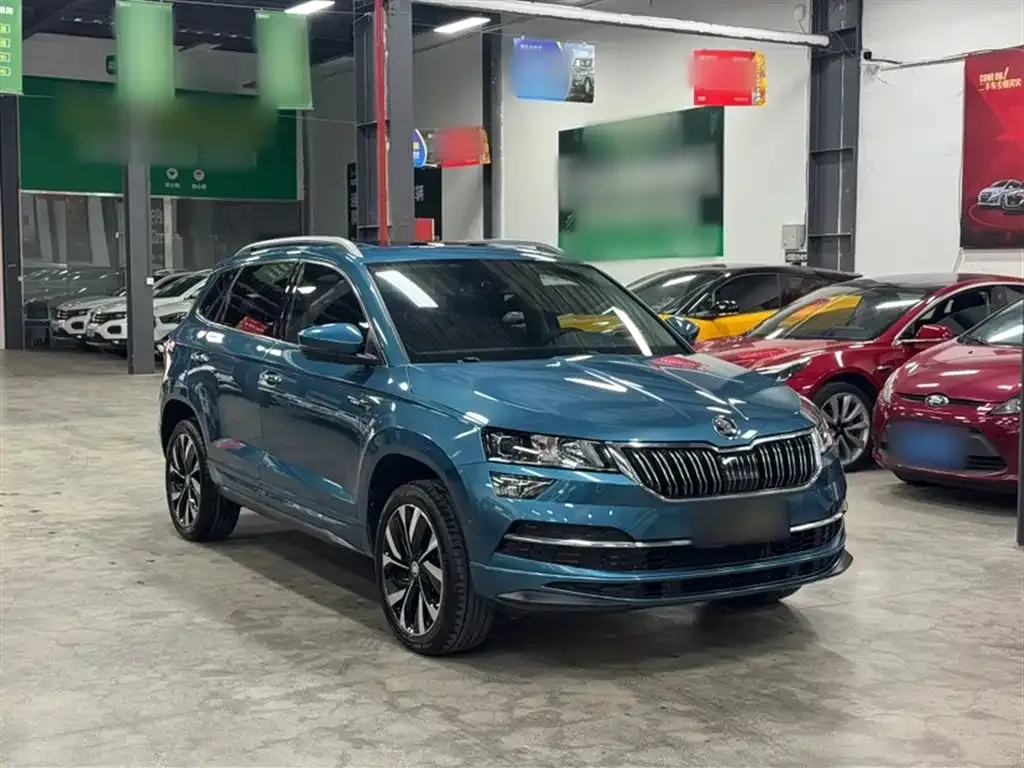 Skoda Karoq 2022 из CN, фото 9