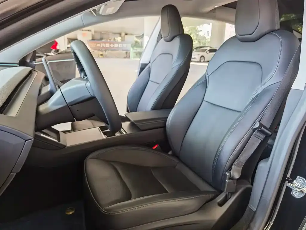 Tesla Model 3 2023 из CN, фото 6