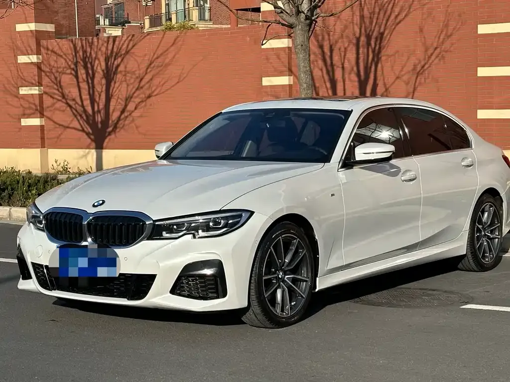 BMW 3 Series 2021 из CN, фото 1