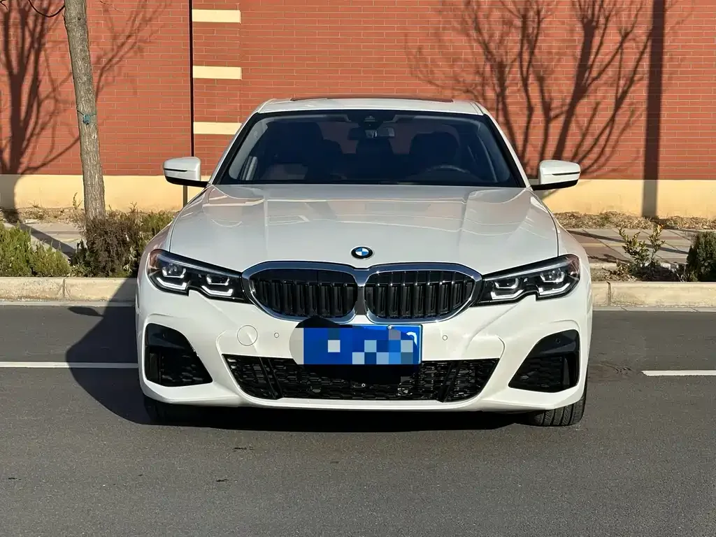 BMW 3 Series 2021 из CN, фото 7