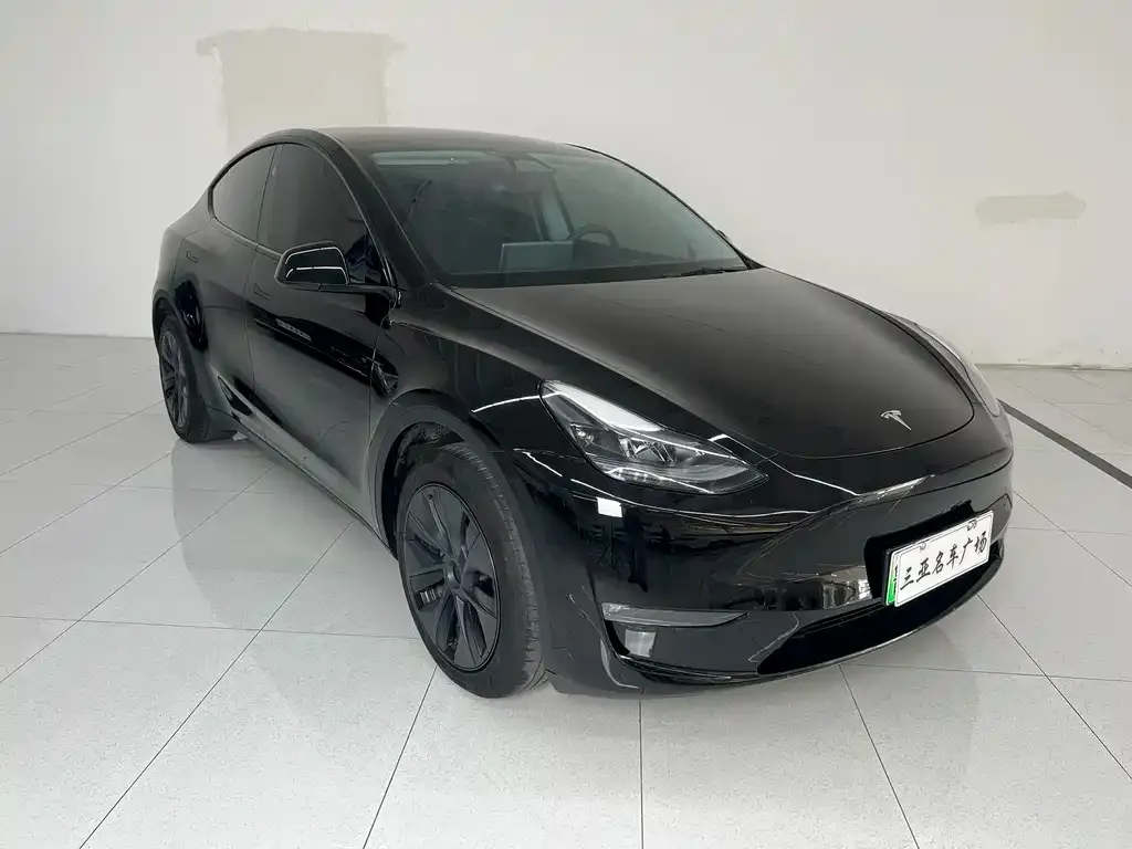 Tesla Model Y 2024 из CN, фото 6