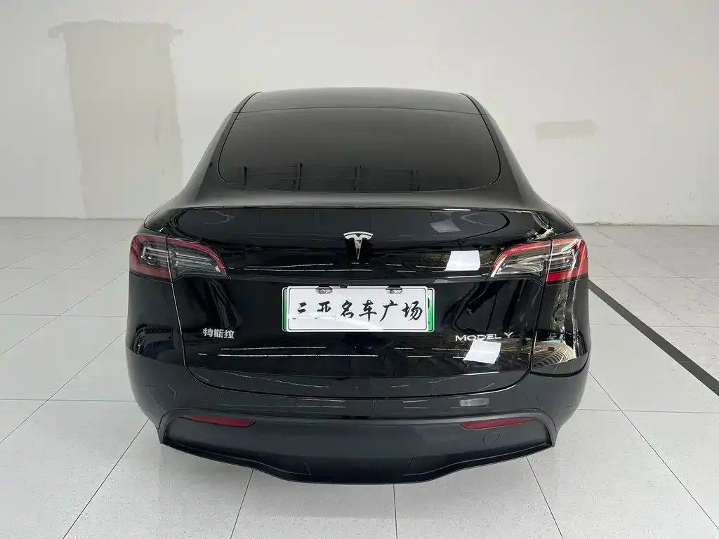 Tesla Model Y 2024 из CN, фото 4