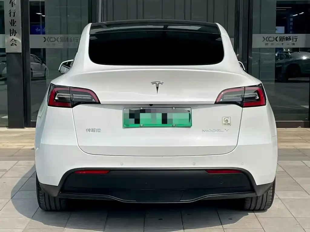 Tesla Model Y 2022 из CN, фото 5