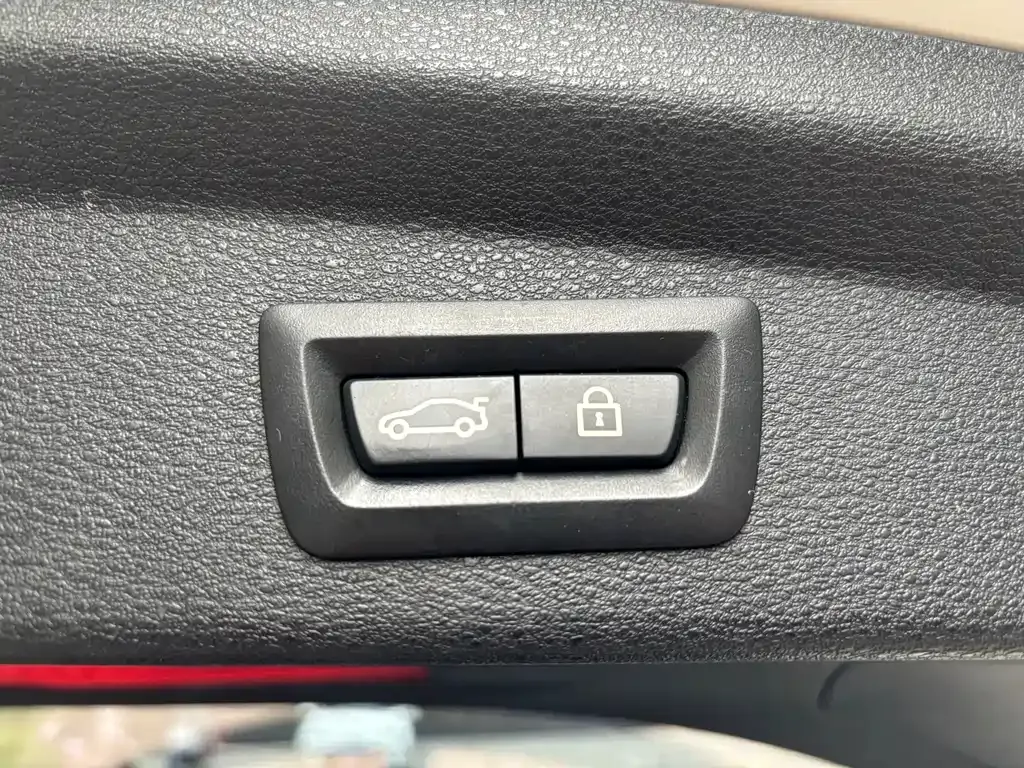 BMW X2 2021 из CN, фото 10