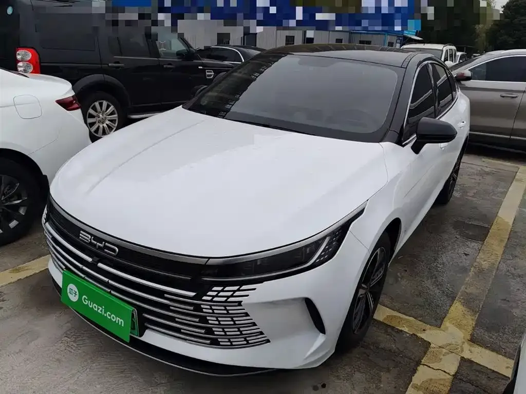 BYD Destroyer 05 2024 из CN, фото 1