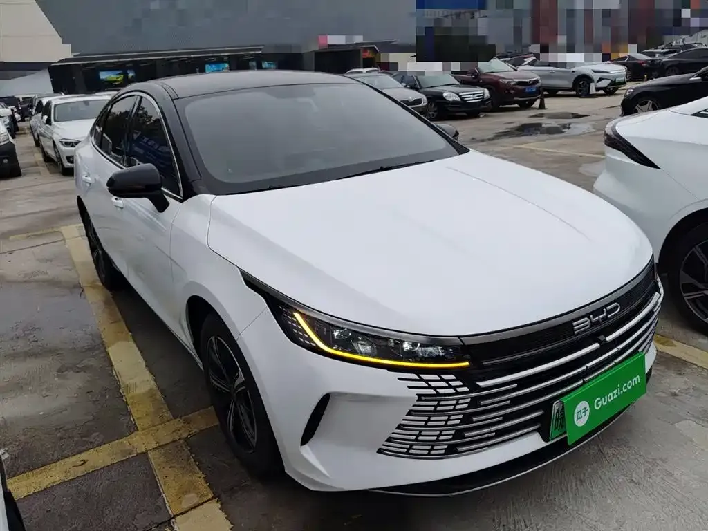 BYD Destroyer 05 2024 из CN, фото 4