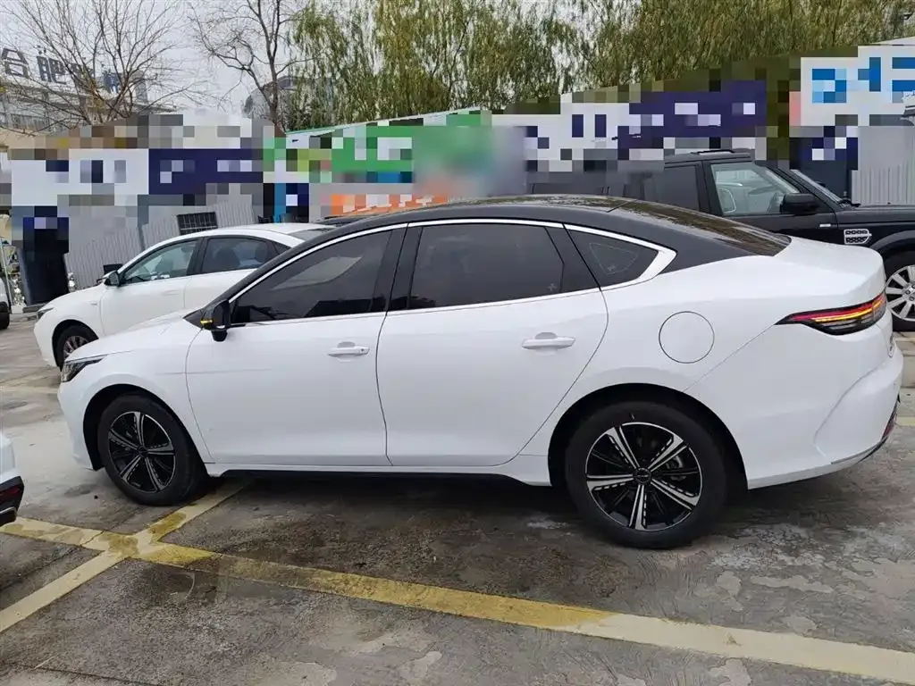 BYD Destroyer 05 2024 из CN, фото 10