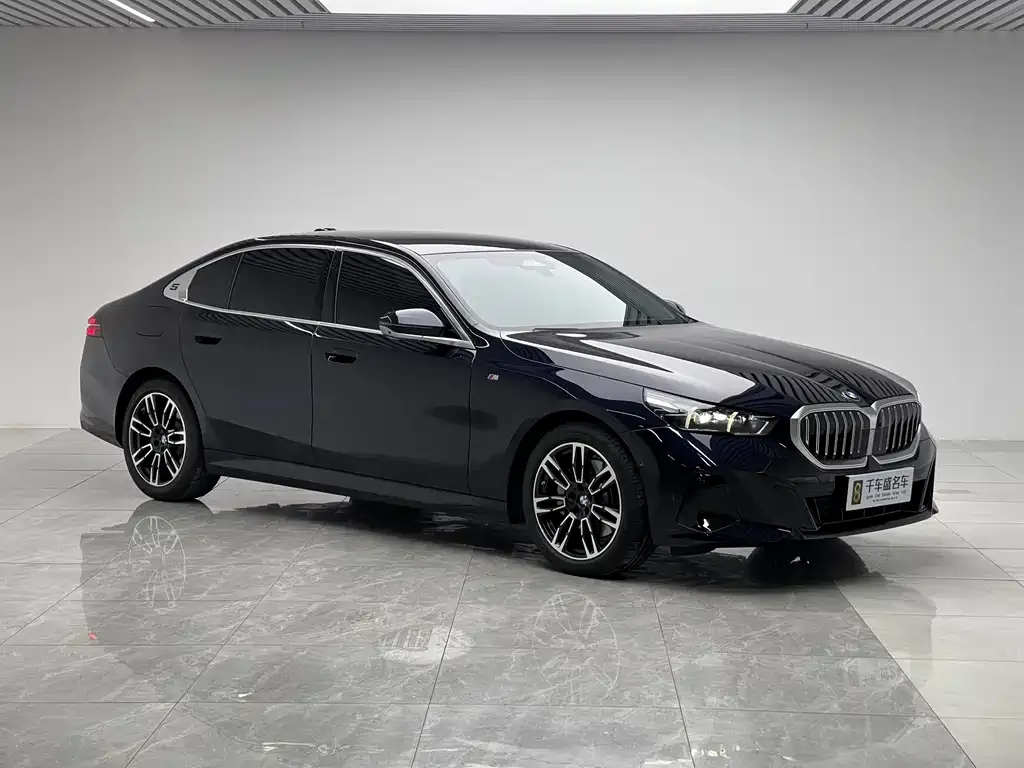 BMW 5 Series 2025 из CN, фото 7