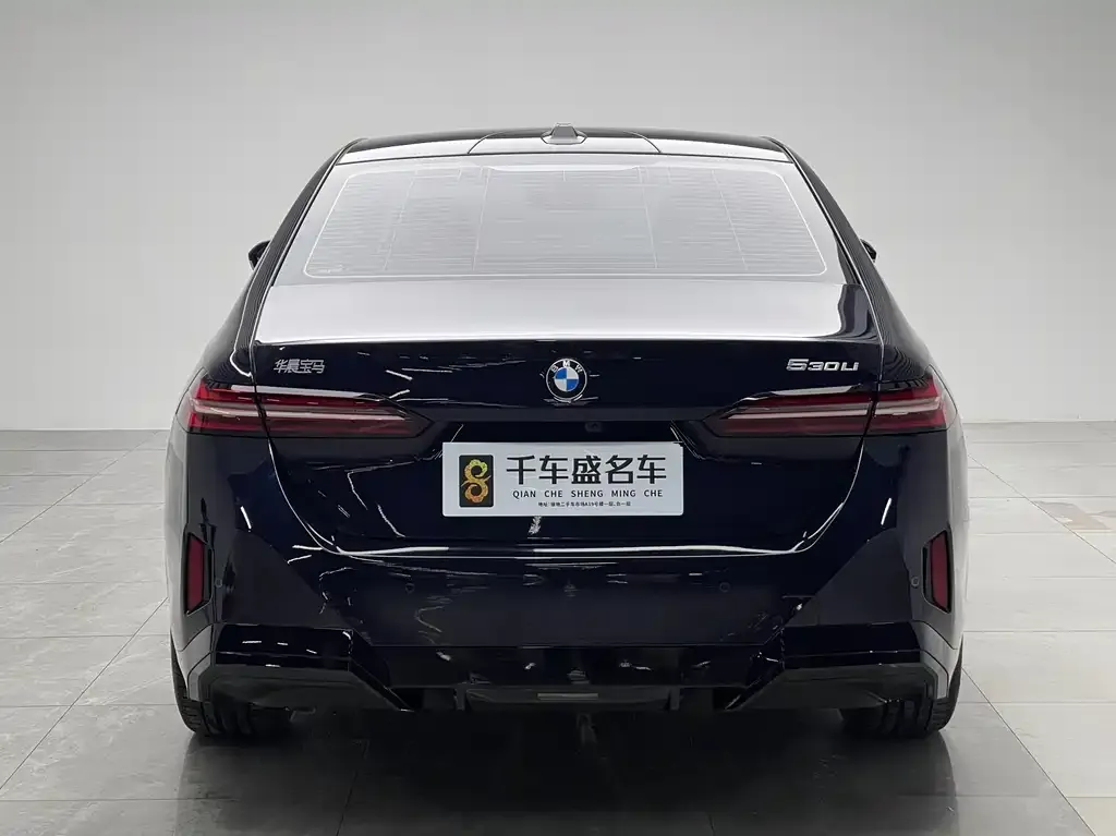 BMW 5 Series 2025 из CN, фото 8