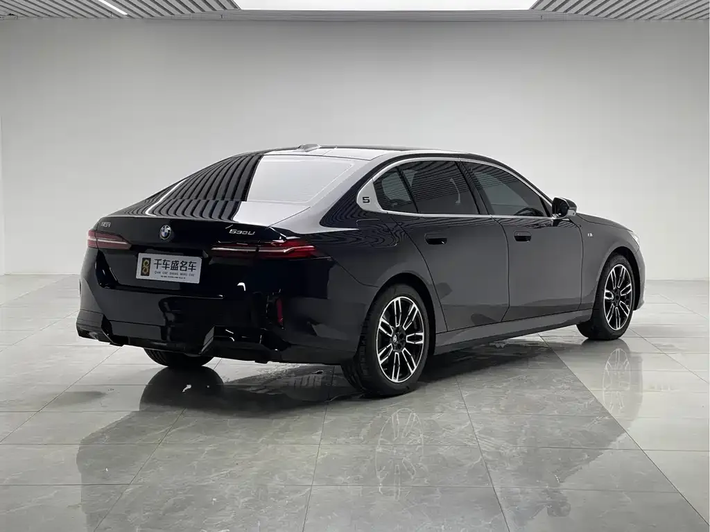 BMW 5 Series 2025 из CN, фото 9