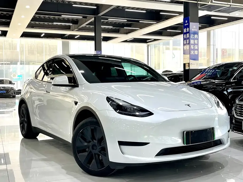 Tesla Model Y 2024 из CN, фото 10