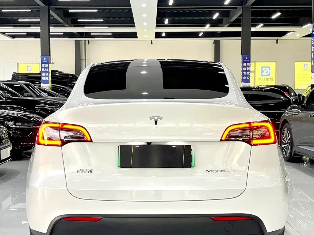Tesla Model Y 2024 из CN, фото 4
