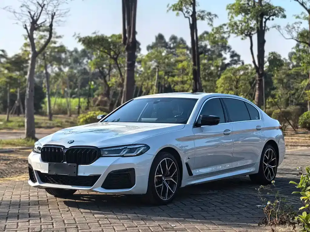 BMW 5 Series — фото 1