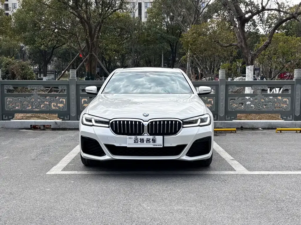 BMW 5 Series 2023 из CN, фото 4