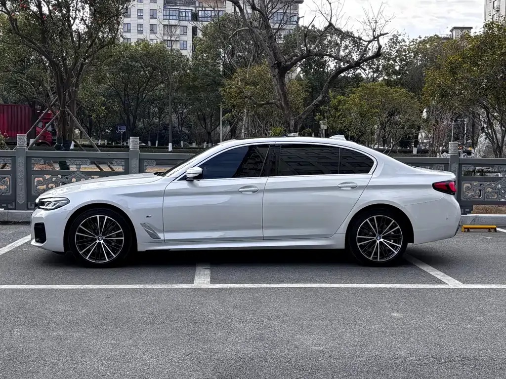 BMW 5 Series 2023 из CN, фото 6