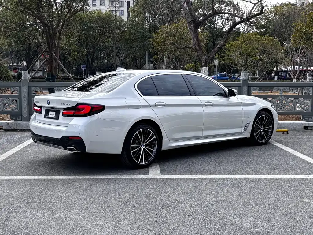 BMW 5 Series 2023 из CN, фото 5
