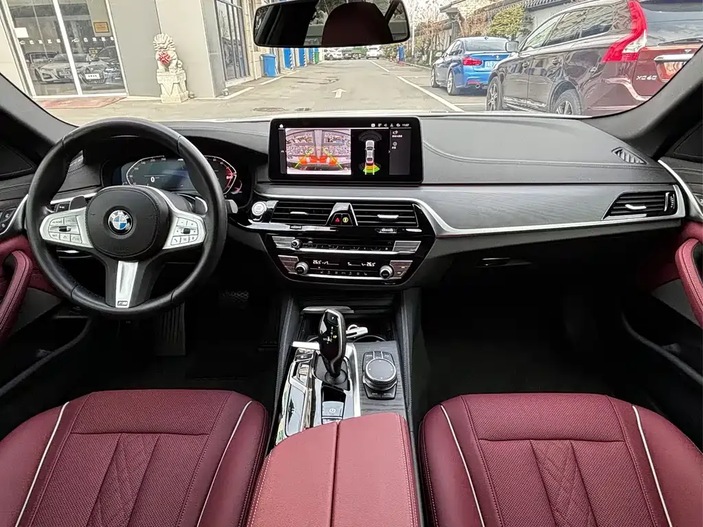 BMW 5 Series 2023 из CN, фото 8