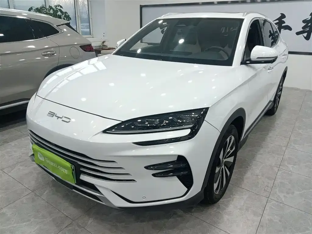 BYD PLUS New Energy — фото 2