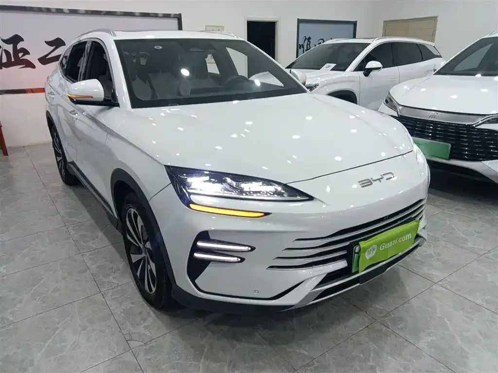 BYD PLUS New Energy — фото 4
