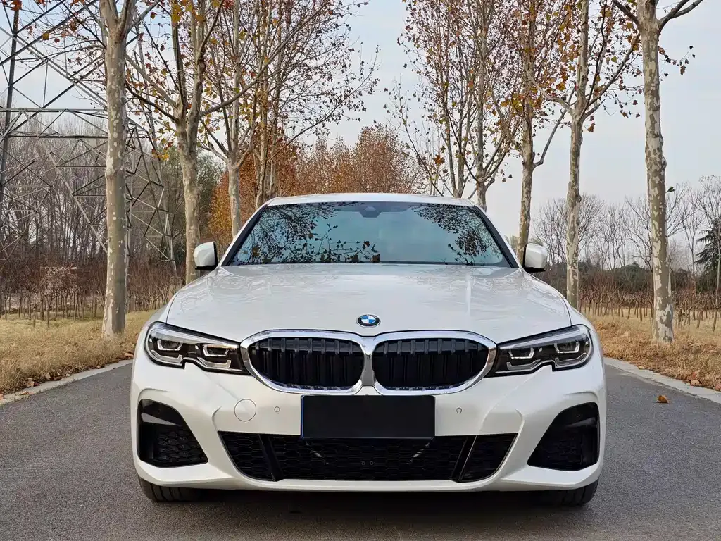 [object Object] 3 Series 2021 из CN, фото 2