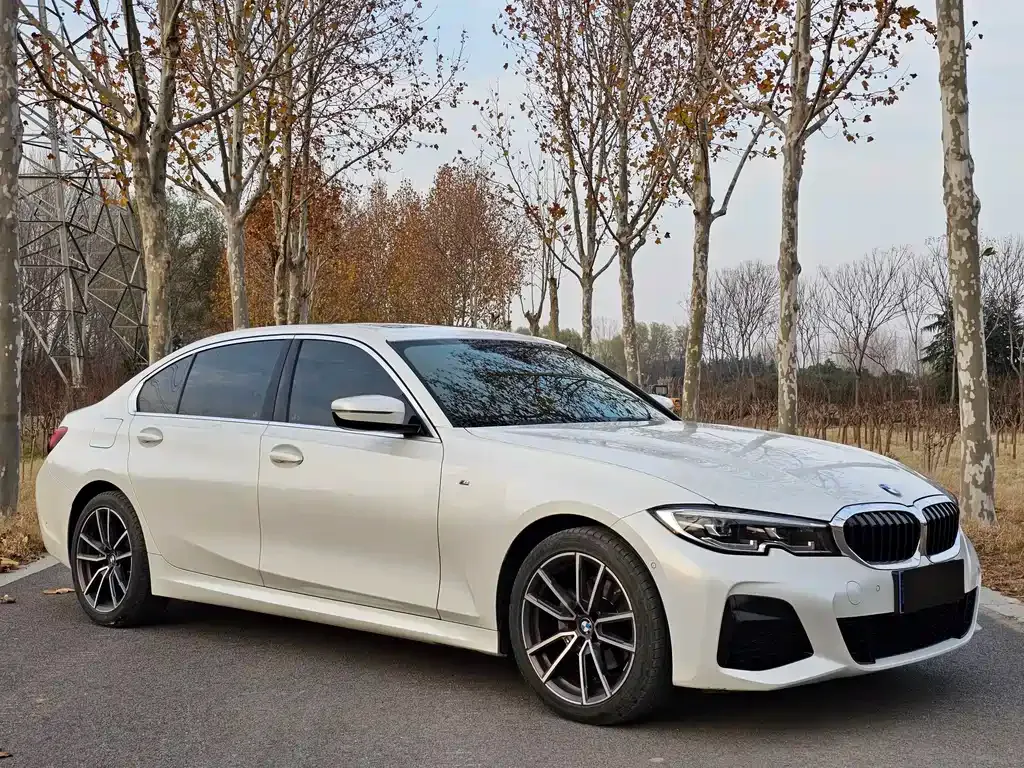 [object Object] 3 Series 2021 из CN, фото 3