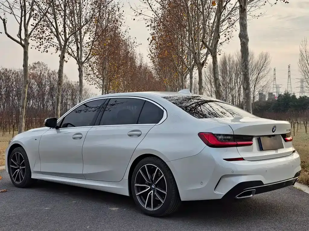 [object Object] 3 Series 2021 из CN, фото 4