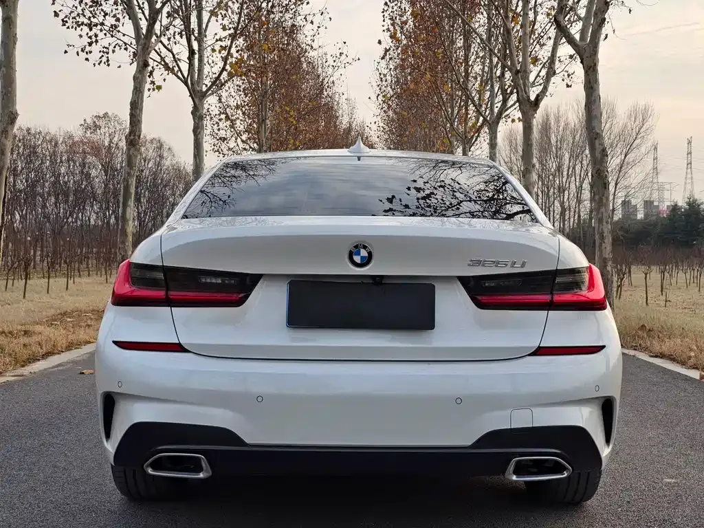 [object Object] 3 Series 2021 из CN, фото 5