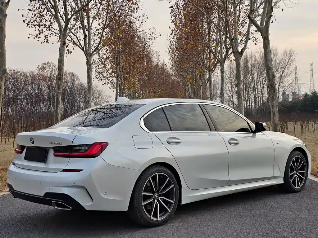 [object Object] 3 Series 2021 из CN, фото 6