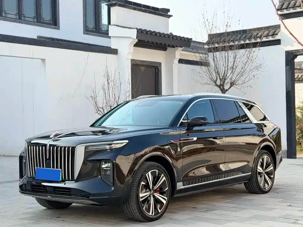 Hongqi E-HS9 2022 из CN, фото 1