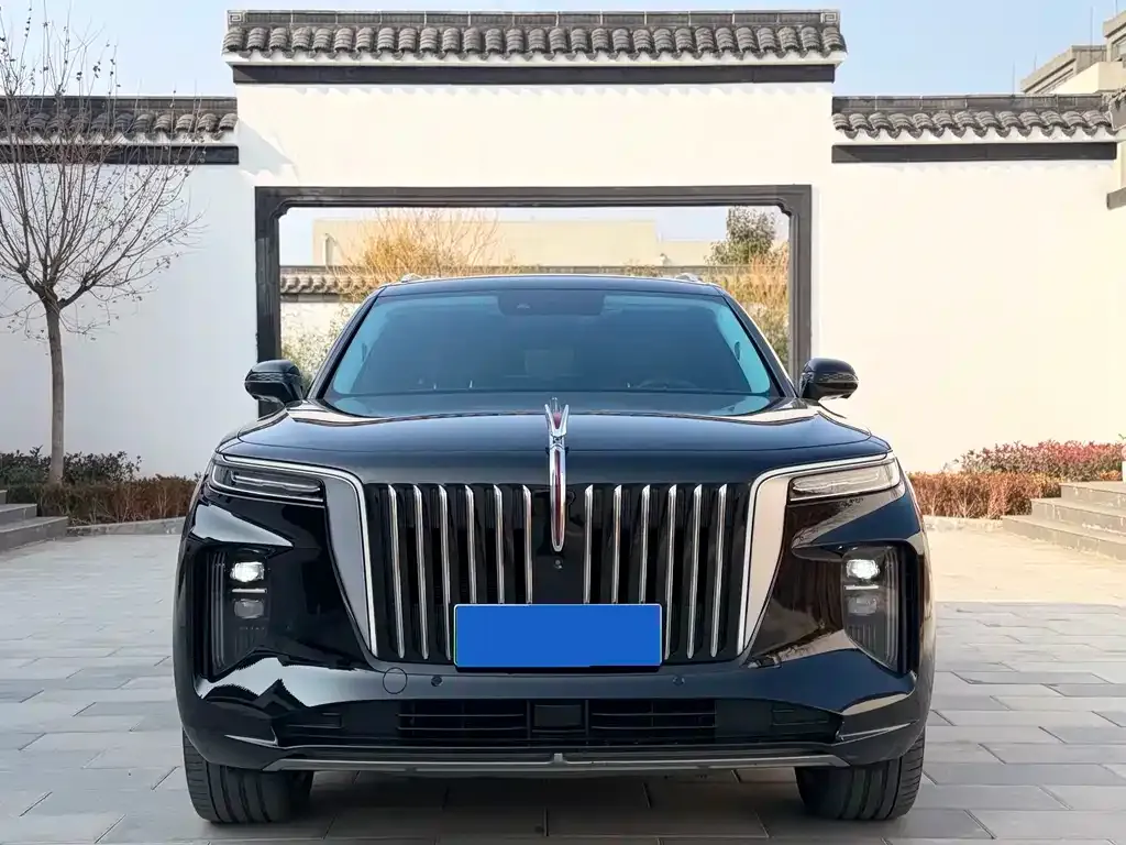 Hongqi E-HS9 2022 из CN, фото 4