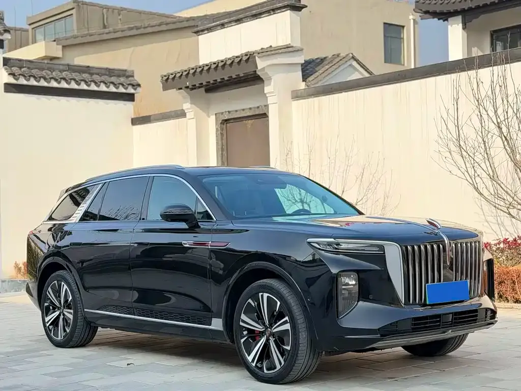 Hongqi E-HS9 2022 из CN, фото 8