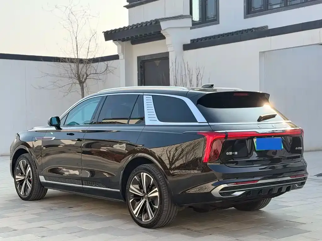 Hongqi E-HS9 2022 из CN, фото 2