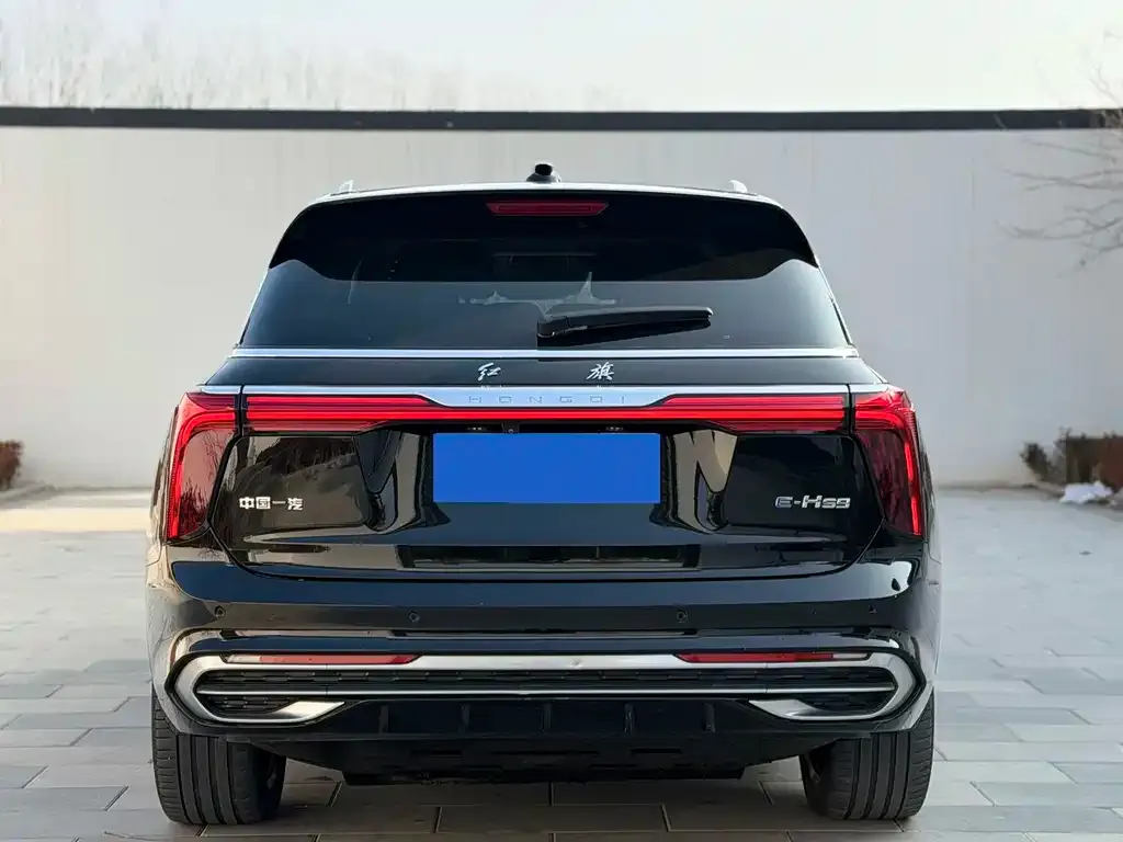 Hongqi E-HS9 2022 из CN, фото 6