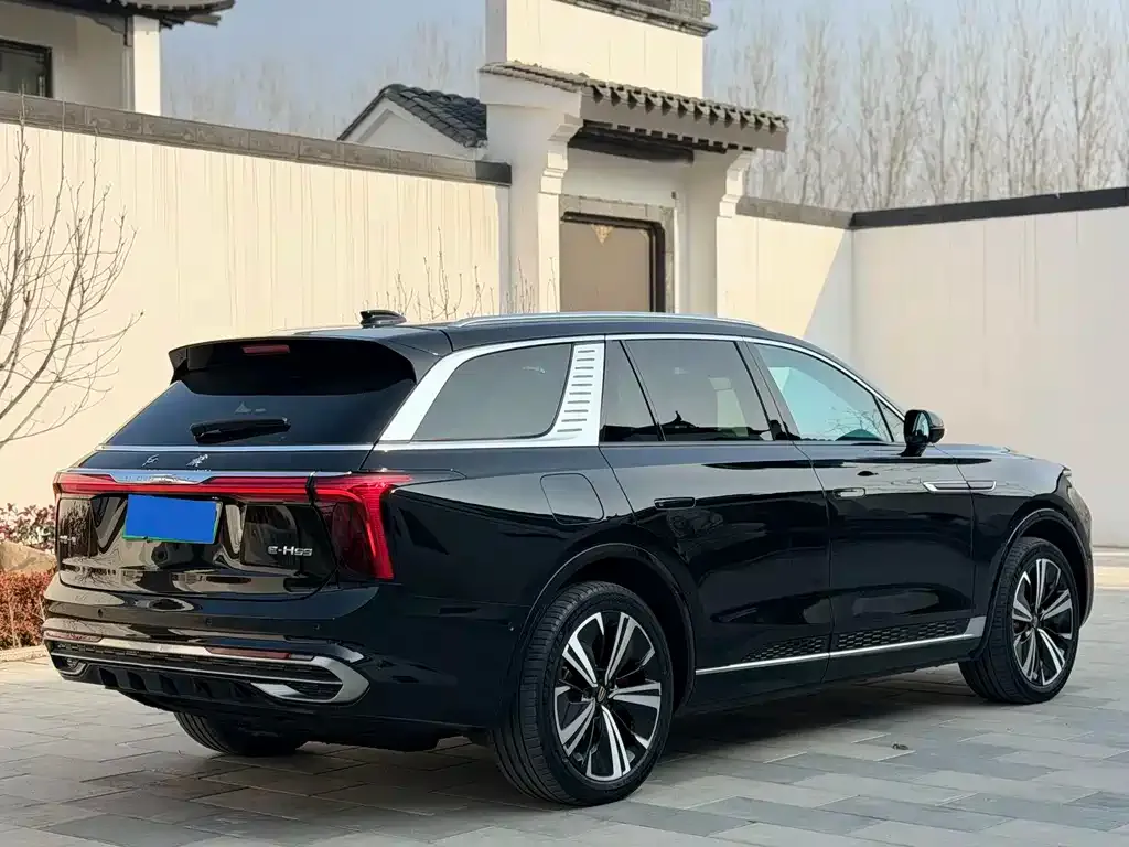 Hongqi E-HS9 2022 из CN, фото 9