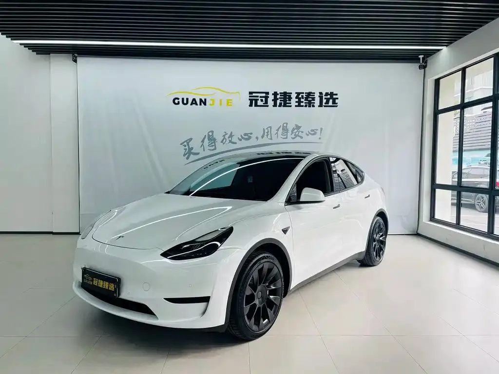 Tesla Model Y — фото 1