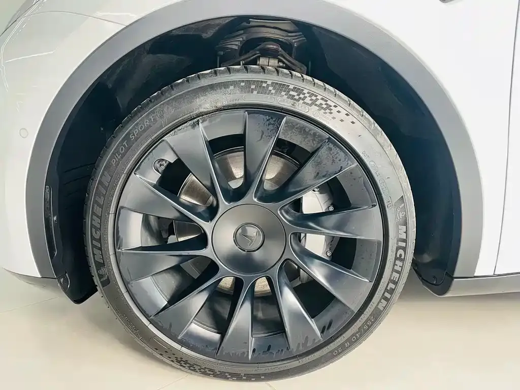 Tesla Model Y — фото 10