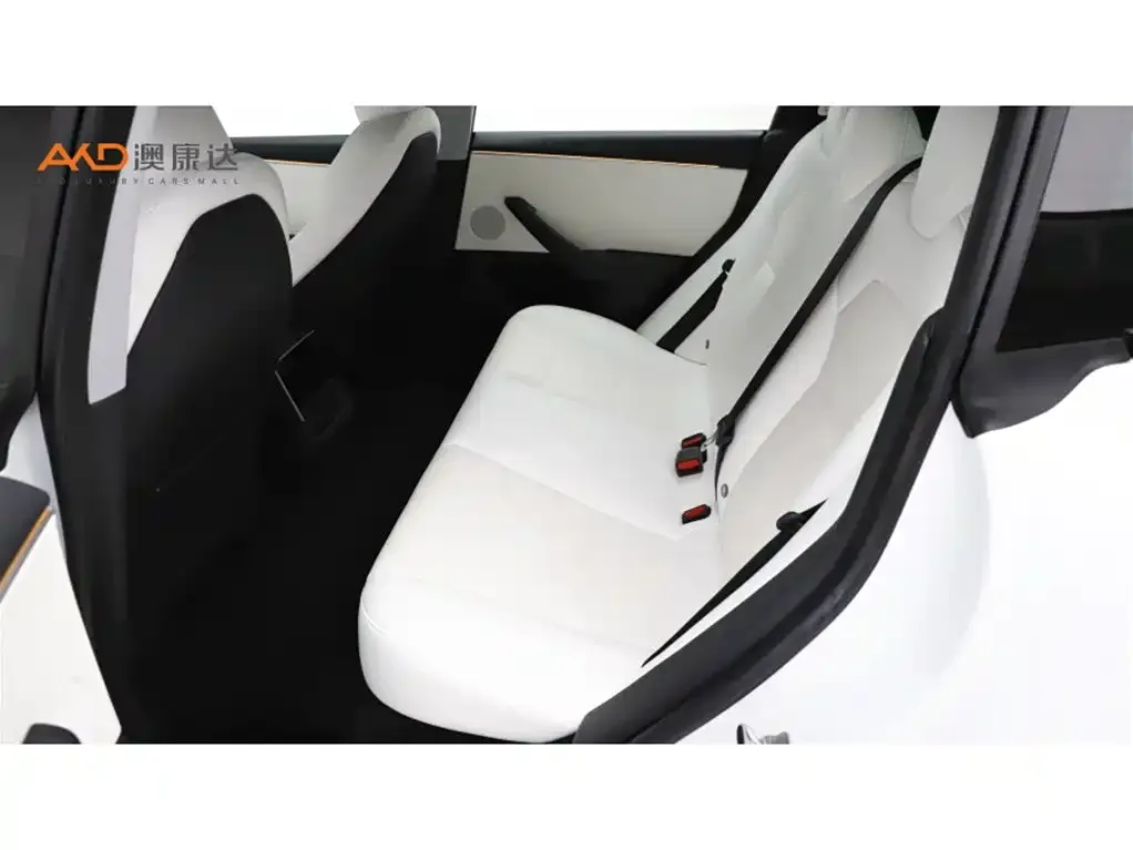 Tesla Model 3 2024 из CN, фото 7