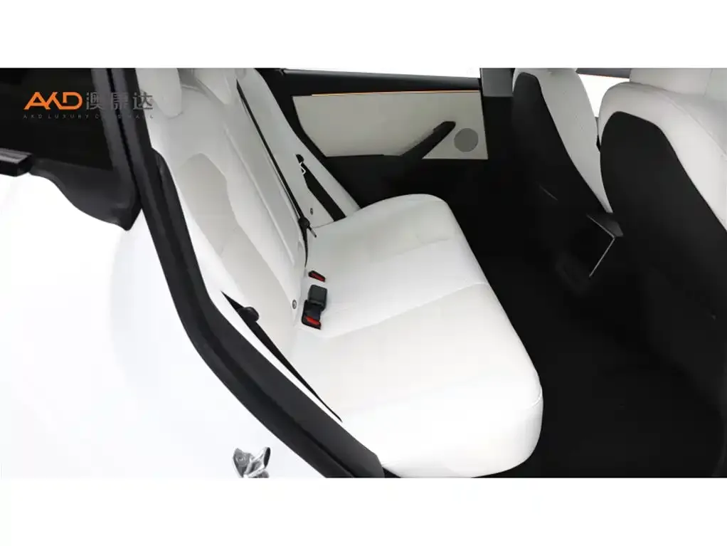 Tesla Model 3 2024 из CN, фото 8