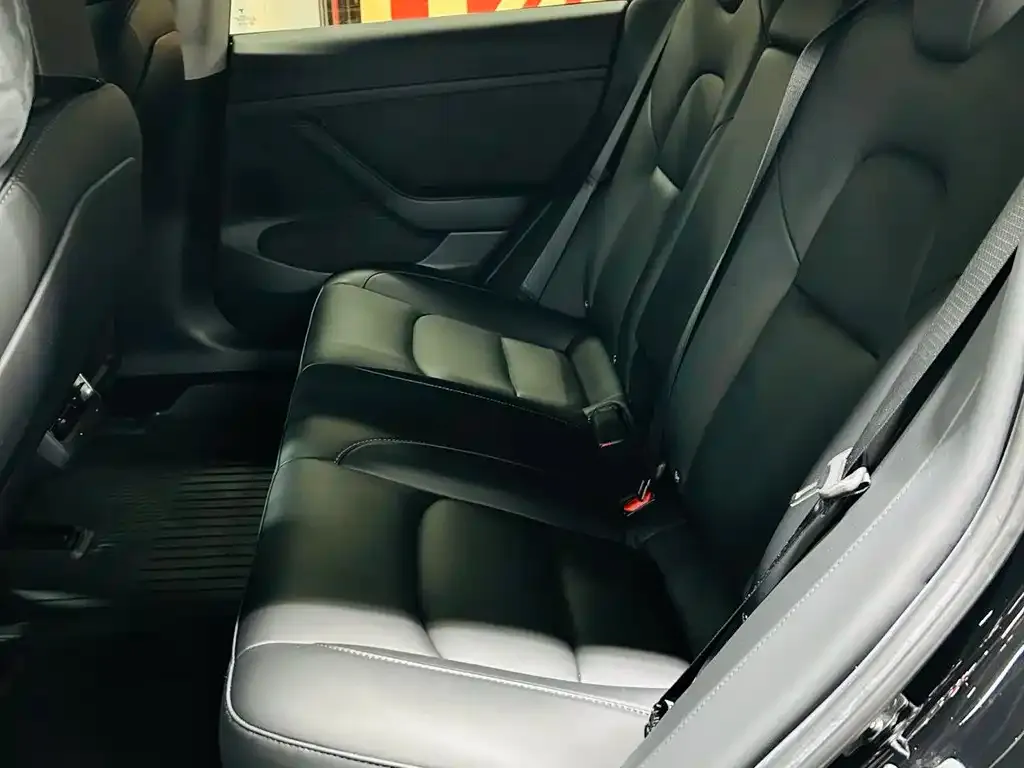 Tesla Model 3 2022 из CN, фото 2