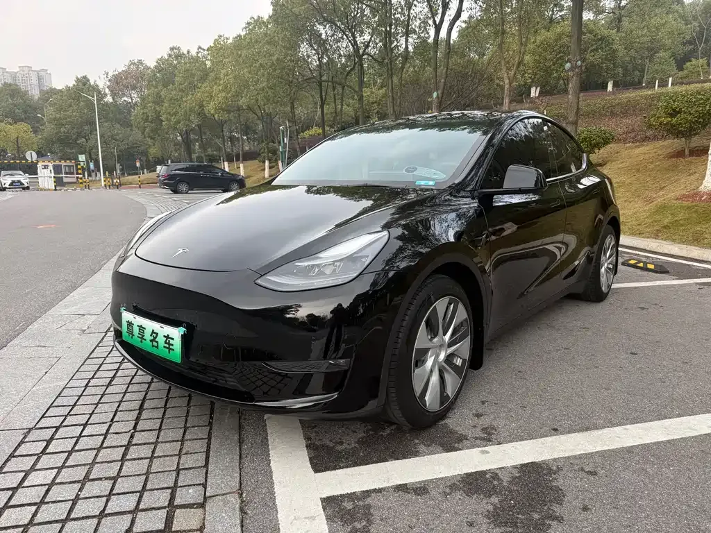 Tesla Model Y 2021 из CN, фото 1