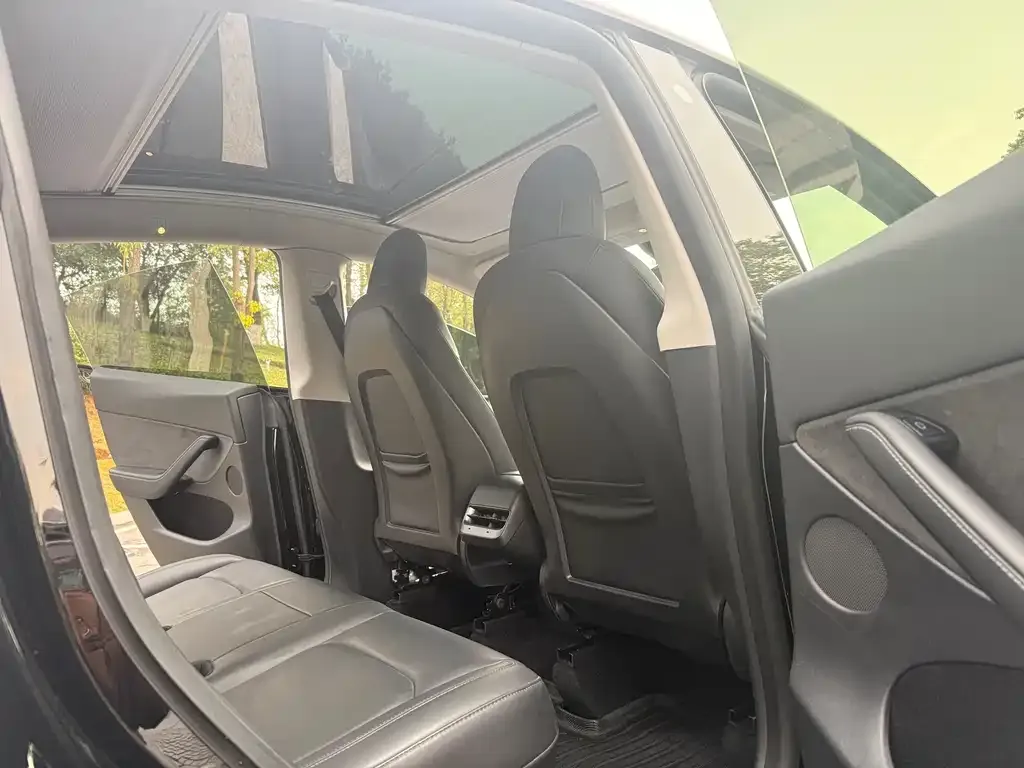 Tesla Model Y 2021 из CN, фото 2