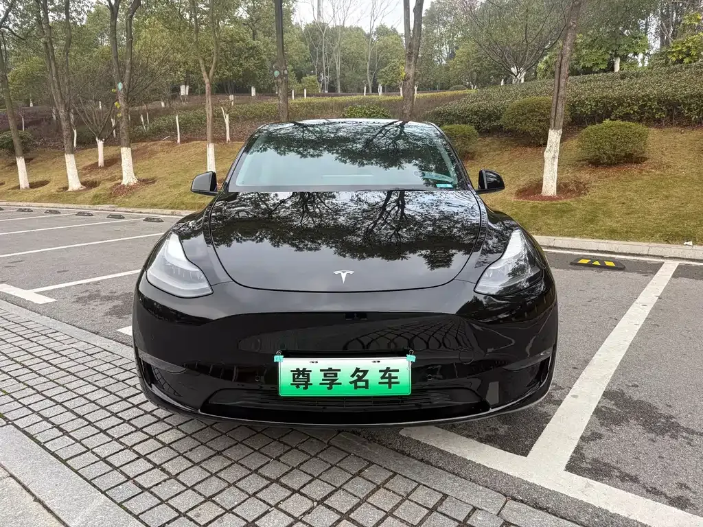 Tesla Model Y 2021 из CN, фото 9