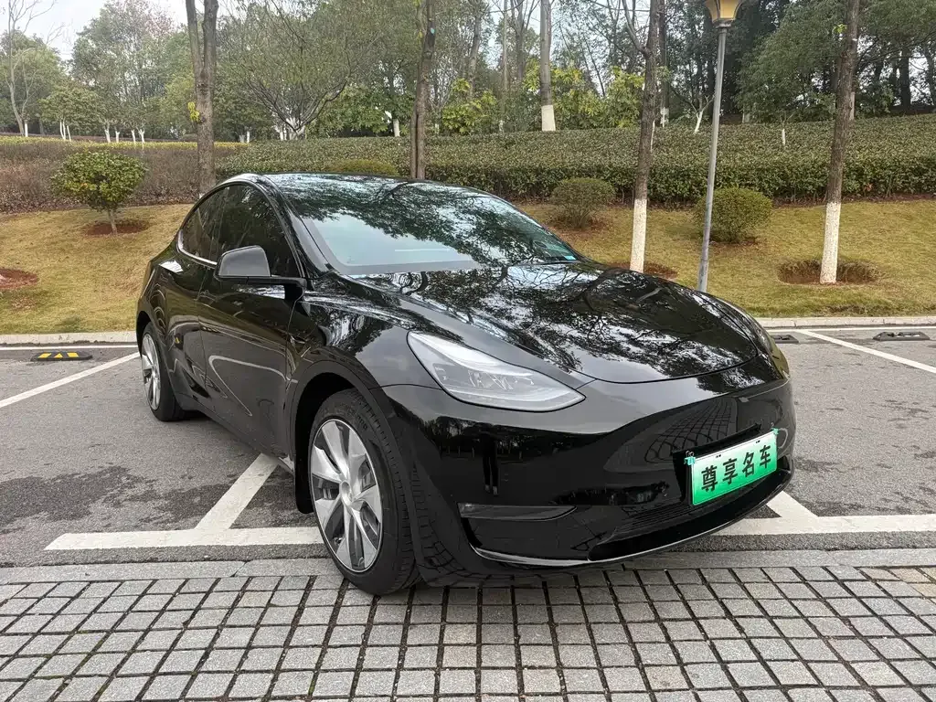 Tesla Model Y 2021 из CN, фото 6