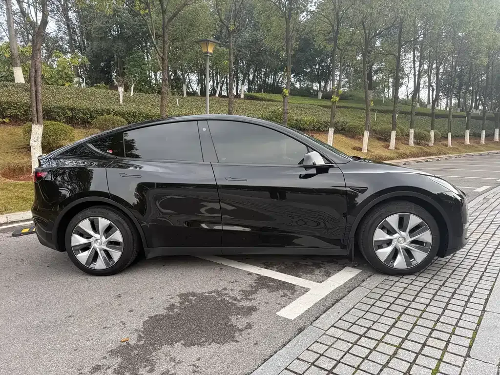 Tesla Model Y 2021 из CN, фото 10
